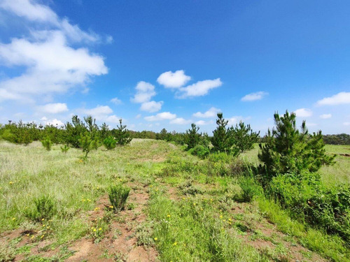 Terreno En Venta En Amealco