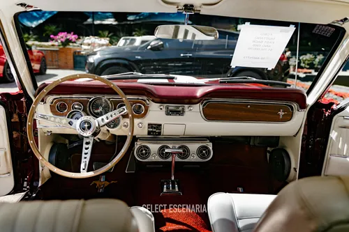1965 Ford Mustang Gt Fastback