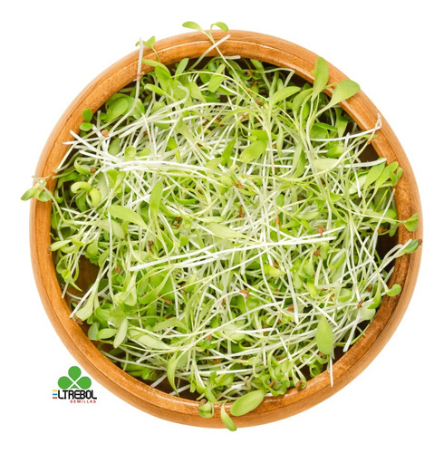 Semilla De Alfalfa Nacional Para Germinado/sembrar (40 Kg)