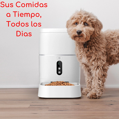 Imagen 3 de 10 de Kit Alimentador Mascotas+cámara Wifi Seguimiento Automático