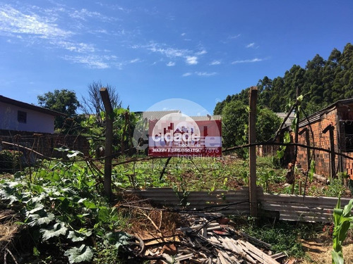 Imagem 1 de 5 de Terreno À Venda, Santa Felicidade - Cascavel/pr - 11309