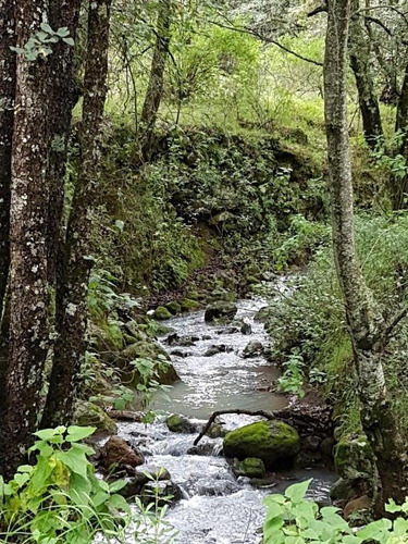 Terreno Para Rancho Amealco, Queretaro Sup. 68,889 Mts