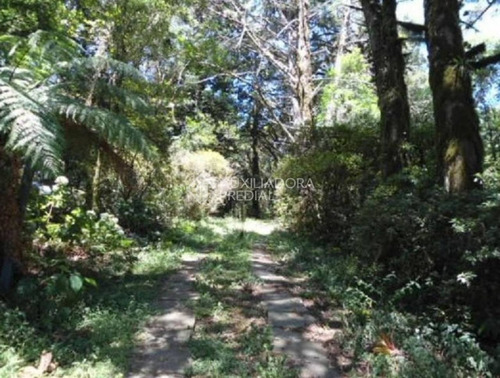 Imagem 8 de 12 de Terreno - Vila Suica - Ref: 292633 - V-292633