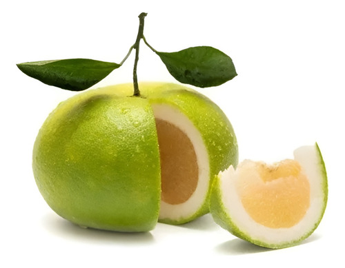 Laranja Zamboa /gigante - Kit 2 Mudas Enxertadas