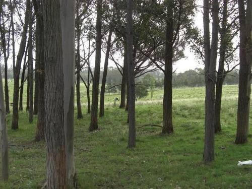 Quinta En Venta En Manantiales