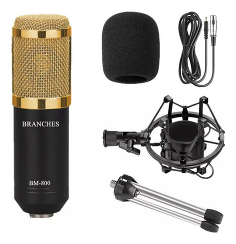 Micrófono de condensador de estudio Bm800 + Brazo + Shock + Pop F