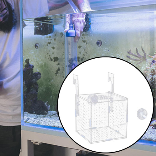 Nuevo Acuario Caja De Aislamiento De Alevines For Guppy