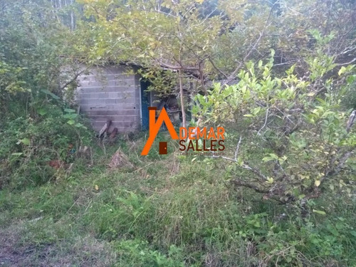 Imagem 12 de 23 de Chacara - Ch00064 - 68105344