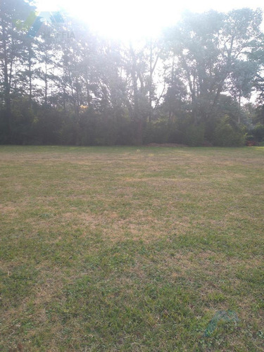 Imagen 16 de 20 de Venta De Terreno - La Otilia