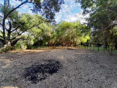 Vendo Pequeño Bosque Sobre El Río Corriente En La Ciudad De Esquina!!!!