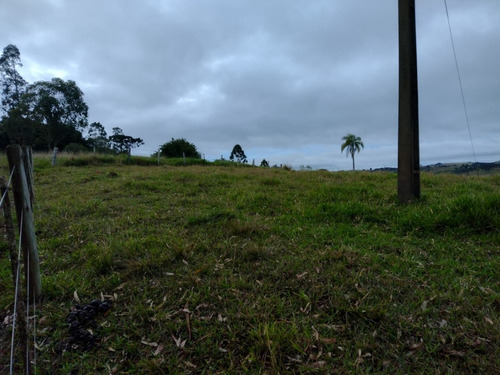 Imagem 5 de 16 de Sítio Com 3.8 Alqueires Com Casa Simples Terra Vermelha 5 Km Do Asfalto Água Corrente No Fundo Do Sítio, Oportunidade... Custo Benefício... Valor : 295 Mil Município De Itapetini - Ch00089 - 695779