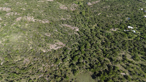 Campo En Venta En Nono, Los Algarrobos