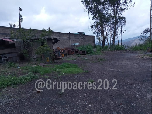 Imagen 3 de 7 de En Venta Un Gran Lote De Terreno En El Limoncito Vía Tejerías.lv