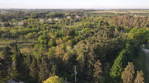 Terreno En Venta En Moreno