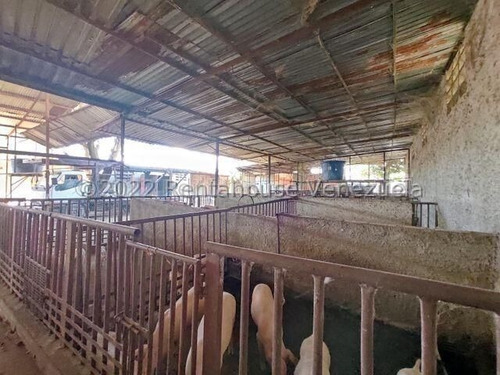 Imagen 15 de 20 de Casa En Venta En Zona Centro Santa Cruz De Aragua 22-24564 Irrr