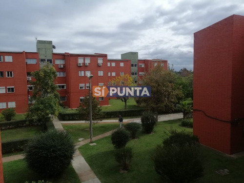 Imagen 2 de 17 de Departamento En Maldonado, Excelente Ubicación Para Vivir Todo El Año