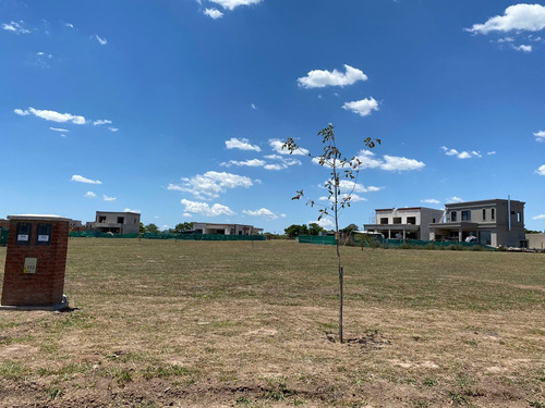 Imagen 4 de 8 de Hermoso Lote Fondo A Verde!