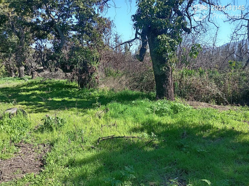 Parcela En Venta En San Felipe