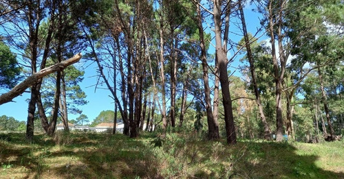 Imagen 7 de 17 de Lote En Venta En La Barra (ref: Atm-6651)