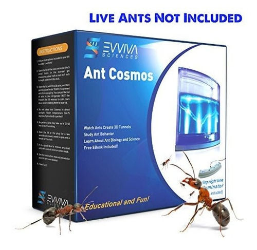 Ant Farm Con Luz Led. Disfruta De Un Magnifico Ecosistema. I