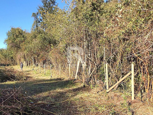 Parcela 10.000m2 Frente Al Lago Llanquihue En Cascadas
