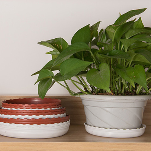 Platillo Para Plantas De Plástico Con Borde Ondulado Blanco,