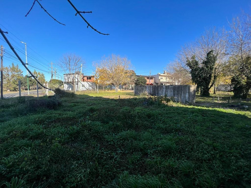 Imagen 4 de 6 de Local - Barrio Parque Leloir