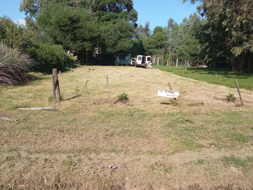 Venta De Terreno En  San Luis 