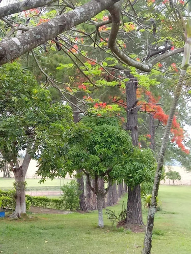 Imagem 24 de 30 de Chácara Com 5 Dormitórios À Venda Por R$ 1.500.000,00 - Terras Do Laranjal - Laranjal Paulista/sp - Ch0020