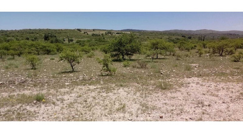 Imagen 1 de 4 de Terreno En La Falda