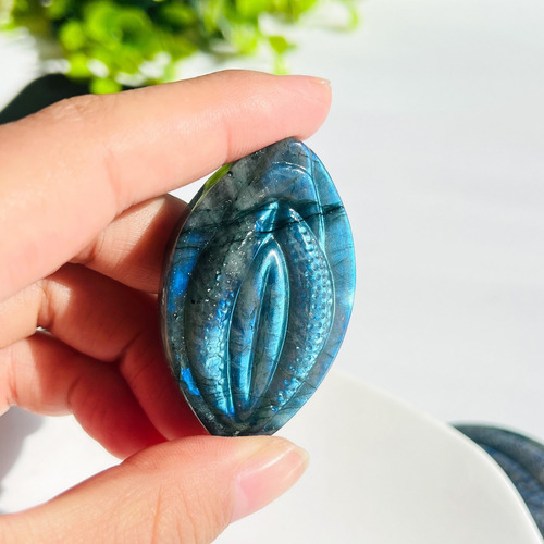 Un Labrador, La Fuente De La Vida: Blue Brilliance Moonstone