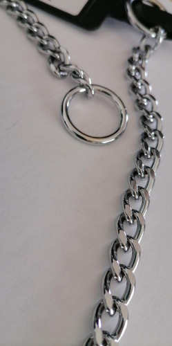 Collar Castigo Holandés Mr Can 60cm-2.5mm Eslabón Plano Color Acero Cromado Tamaño Del Collar 60cm X 2.5mm