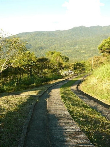 Imagem 7 de 19 de Terreno Para Venda Em Serra Da Igreja Morretes-pr - 5641