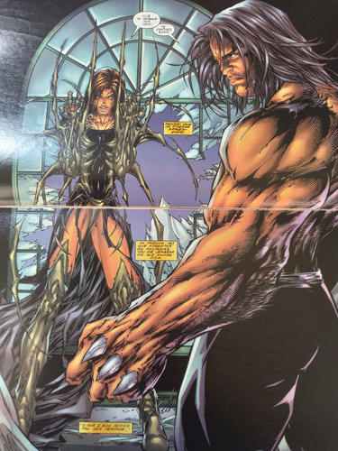 O Reino Do Demônio Parte 3: Lado A Wolverine & Witchblade / Lado B Witchblade & Elektra - Abril Jovem 1998 - Em Português - Capa Comum - Lombada Com Grampos (Usado)