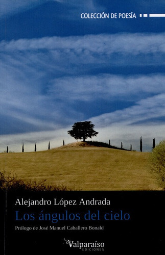 Los Angulos Del Cielo, De López Andrada, Alejandro. Editorial Valparaiso, Tapa Blanda, Edición 1 En Español, 2014