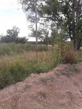Imagen 5 de 10 de Lote De 5000 M2 - Escritura - Henderson - Al Lado Corralón Municipal