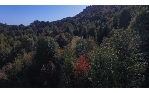 Imagen 3 de 15 de Venta Sitios/ Carretera Austral Km 30/patagonia Chilena