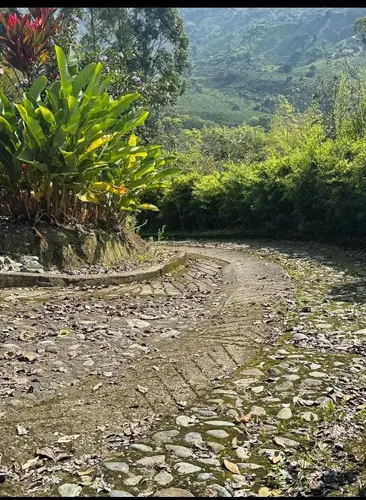 Terreno