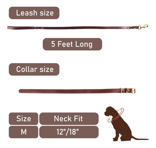 Conjunto De Collar Y Correa De Cuero Resistente Para Perros