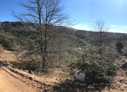 Imagen 7 de 7 de Vendo Terreno En Peñon Del Aguila