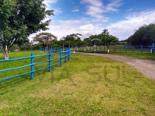 Imagem 18 de 30 de Sitio Cinematográfico À Venda Em Itu, Região Nobre De São Paulo. Ideal Para Moradia E Lazer. Excelente Oportunidade!!! - 54 - 70054601