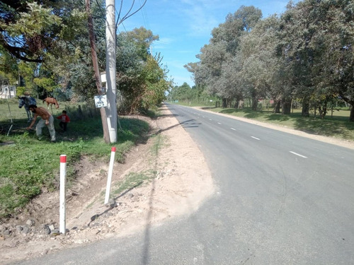 Imagen 5 de 6 de Terreno Tipo Chacra