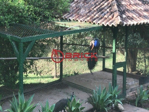 Imagem 28 de 30 de Excelente Haras Com 58.400 M² Em Petrópolis - St00141 - 34619909
