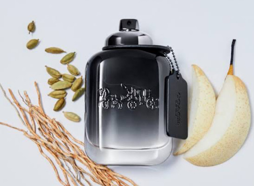 Coach New York For Men