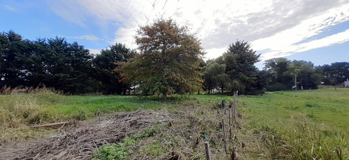 Dos Lotes En Ruta 2 - Km 394 - Sobre Colectora