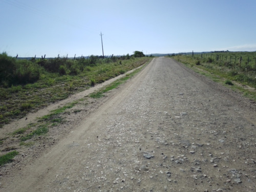 Campo De 110 Hectáreas, Con Arroyo, Buen Acceso