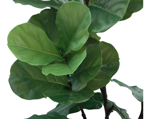 Árbol Artificial Ficus Pandurata, Planta Decorativa Hogar Sin Maceta