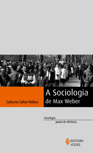 A sociologia de Max Weber, de Colliot-Thélène, Catherine. Sociologia: pontos de referência Editorial Editora Vozes Ltda., capa mole em português, 2016