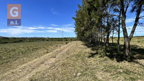 Campos Y Fracciones (ruta 9, Pan De Azúcar) Ref. 5631