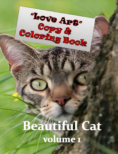 Love Art Copy & Coloring Book: Beautiful Cat, De Vd Klashorst, Helena. Editorial Createspace, Tapa Blanda En Inglés